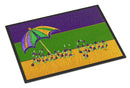 Mardi Gras Doormat Indoor Outdoor 24H X 36W Front Door Mat Rugs for Entryway, Non Slip Washable Low Pile,