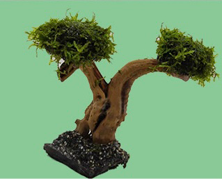 Moss Tree Chunks with Foam Head, photo 2 of 8