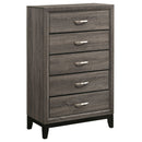Gregory - 5 Drawer Chest - Smoke Gray by HouseOfZazla