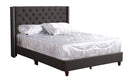 Nailhead Bed Transitional Vibrant by HouseOfZazla
