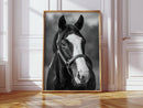Gentle Spirit