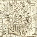Vintage Map of Baltimore, Maryland 1873