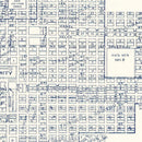 Vintage Map of Tucson, Arizona 1920