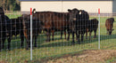 Farm Fence 4ft x 164ft 14-Gauge Heavy Zinc Coated Wire Fencing by HouseOfZazla