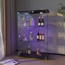 Modern Display Cabinet With LED Lights, Transparent Tempered Glass 2 Door Storage Case With 3 Shelves