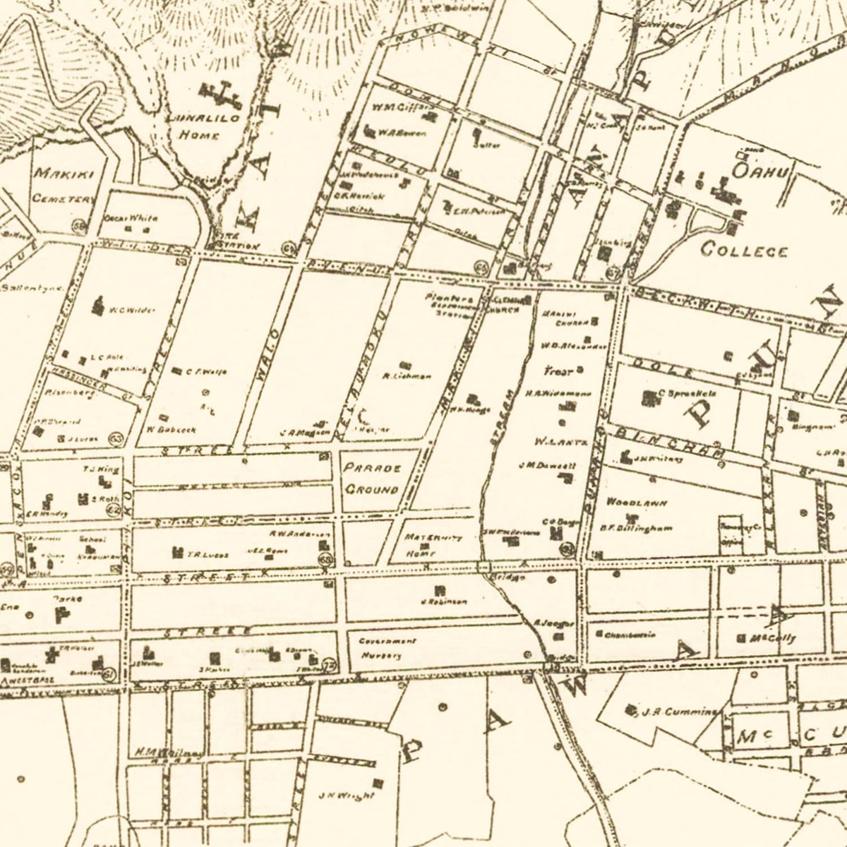 Vintage Map of Honolulu, Hawaii 1901, photo 2 of 5