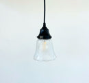 Frosted Leaf Embossed Clear Pendant Light