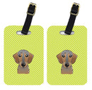 Checkerboard Lime Green Wirehaired Dachshund Luggage Tag