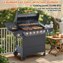 6 Burner BBQ Propane Gas Grill with Side Burner by HouseOfZazla