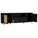 Benson - 2 Door TV Stand With Dual Drawers by HouseOfZazla