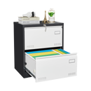 2 Drawer Metal Lateral File Cabinet with Lock,Office Vertical Files Cabinet for Home Office/Legal/Letter/A4,Locking Metal File Cabinet,Assembly Required