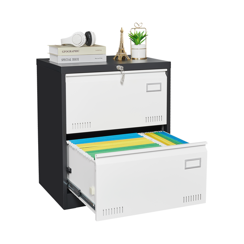 2 Drawer Metal Lateral File Cabinet with Lock,Office Vertical Files Cabinet for Home Office/Legal/Letter/A4,Locking Metal File Cabinet,Assembly Required