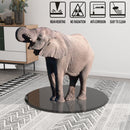 36" Inch Round Tempered Glass Table Top black Glass 1/2" Inch Thick Beveled Polished Edge