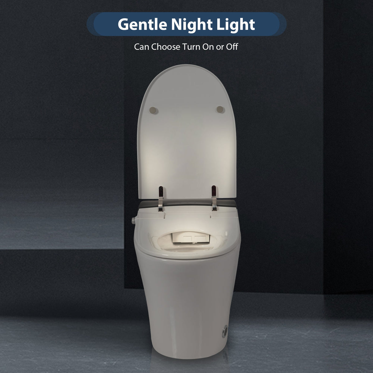 Heated Seat Smart Toilet, One Piece Design, photo 3 of 10