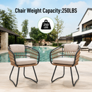 Outdoor Wicker Dining Chairs Set of 2 with Cushions by HouseOfZazla