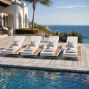 White Iron and Teak Finish Chaise Lounge Set with Cream Cushion by HouseOfZazla