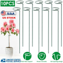 Garden Plant Support Stakes for Single Stem by LJGDeals