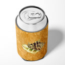 Shell Can or Bottle Hugger Cooler Sleeve for Standard 12 oz Cans, Insulated Foam Beer & Soda Can Hugger Reusable