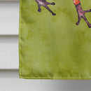 Frog House Flag 28x40 Porch Sleeve Pole Decorative Outside Yard Banner Artwork Wall Hanging, Polyester