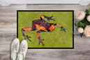 Frog Doormat Indoor Outdoor 24H X 36W Front Door Mat Rugs for Entryway, Non Slip Washable Low Pile,