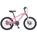 ZUKKA 20 Inch Mountain Bike for Boys and Girls (Ages 7-10)