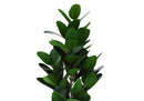 28" Tall Artificial Garcinia Tree in Black Pot by HouseOfZazla