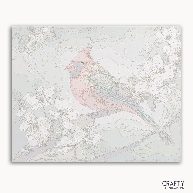 Northern Cardinal