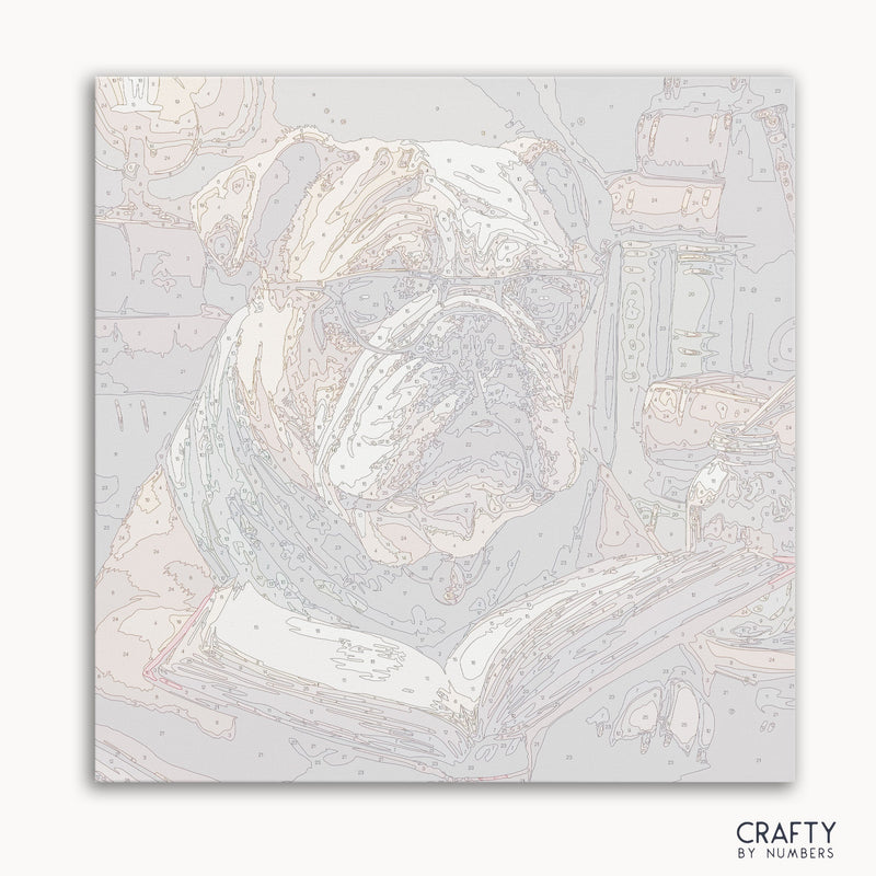 English Bulldog Reading