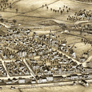 Vintage Map of Weedsport, New York 1885