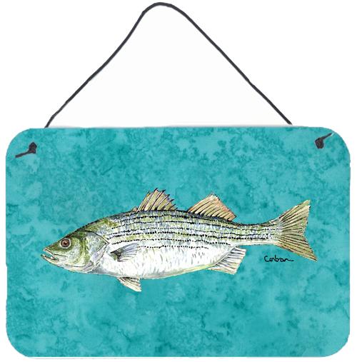 Striped Bass Fish Aluminium Metal Wall or Door Hanging Prints