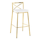 Modern Charlotte - Contemporary Fixed Height Barstool (Set of 2)