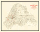 Vintage Map of Tuolomne County, California 1904