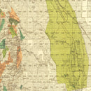 Vintage Map of San Diego County, California 1900