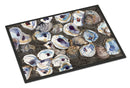 Oysters Doormat Indoor Outdoor 24H X 36W Front Door Mat Rugs for Entryway, Non Slip Washable Low Pile,