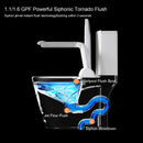 Upgraded Design Armrest, With Glossy Gw 007 1 Piece Toilet With Tornado Flush, Soft Close Seat, Dual Flush Map 1000G, Comfort Chair Seat - Gloss White by HouseOfZazla