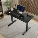 Polaris Electric Standing Desk - 55"×24"