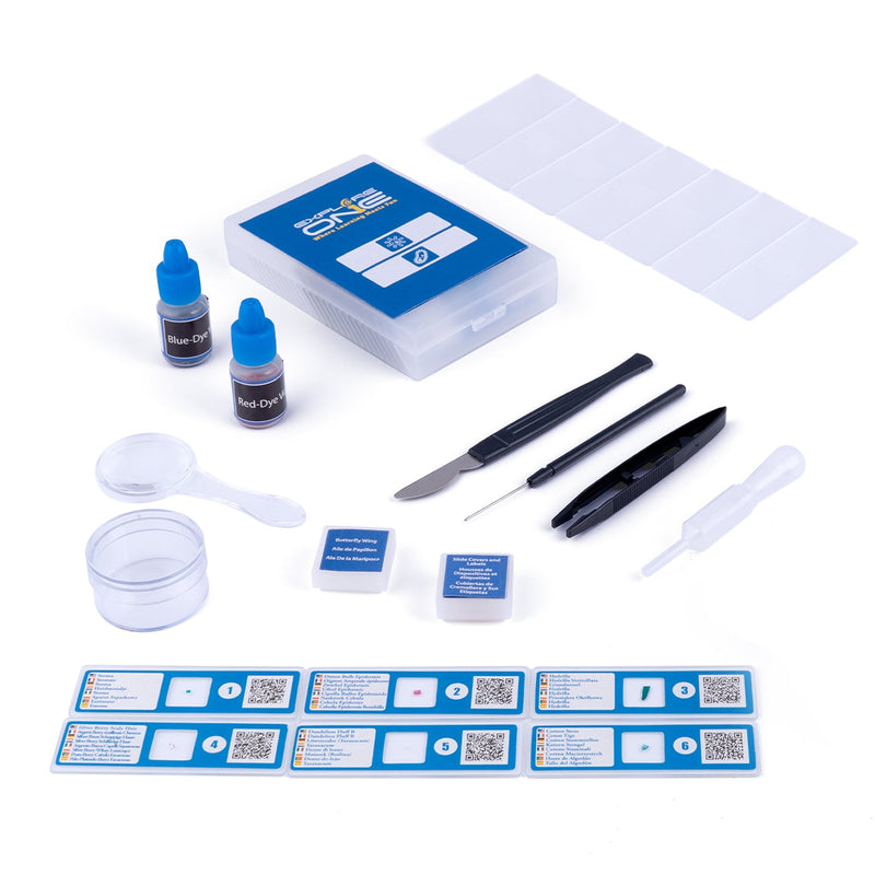 52 Piece Smart Slides Activity Set, photo 2 of 7