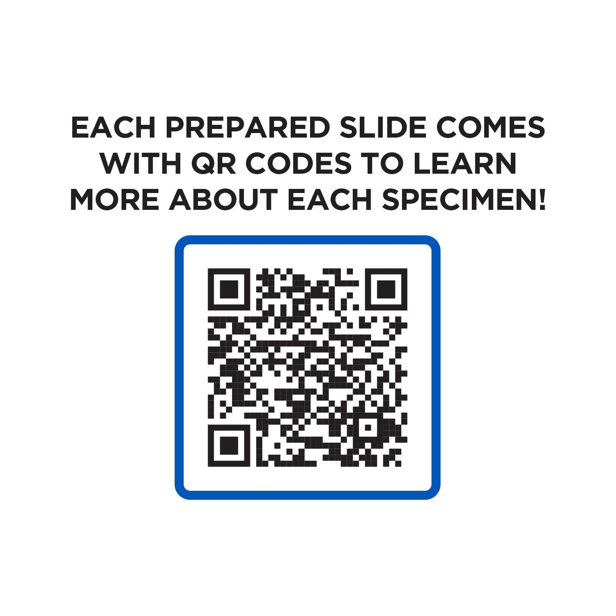 52 Piece Smart Slides Activity Set, photo 4 of 7