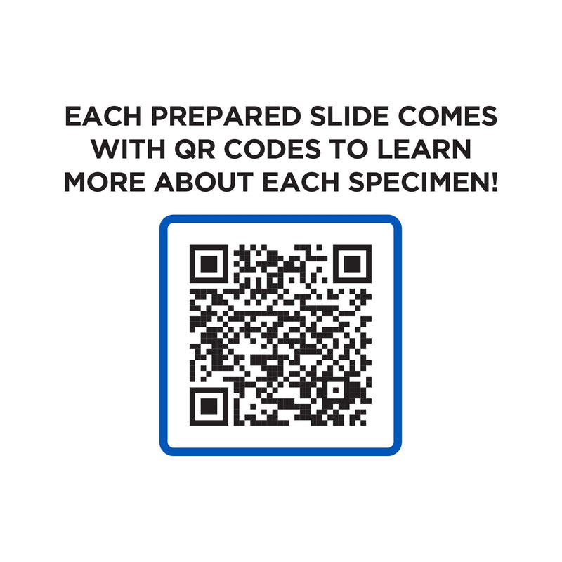 52 Piece Smart Slides Activity Set