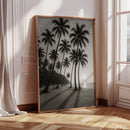 Palm Shadows at Sunrise