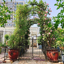 Metal Garden Arch With Gate High Climbing Plants Support Rose Arch Outdoor - Black by HouseOfZazla