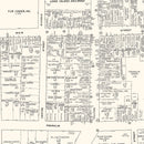 Vintage Map of Hempstead, NY Business Section 1947