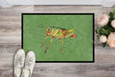 Grasshopper on Avacado Doormat Indoor Outdoor 24H X 36W Front Door Mat Rugs for Entryway, Non Slip Washable Low Pile,