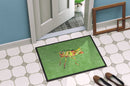 Grasshopper on Avacado Doormat Indoor Outdoor 24H X 36W Front Door Mat Rugs for Entryway, Non Slip Washable Low Pile,