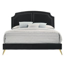 Zeena - Bed