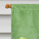 Dragonfly on Avacado House Flag 28x40 Porch Sleeve Pole Decorative Outside Yard Banner Artwork Wall Hanging, Polyester