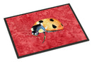 Lady Bug on Red Doormat Indoor Outdoor 18H X 27W Front Door Mat Rugs for Entryway, Non Slip Washable