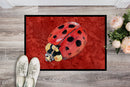 Lady Bug on Deep Red Doormat Indoor Outdoor 24H X 36W Front Door Mat Rugs for Entryway, Non Slip Washable Low Pile,