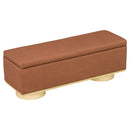 Modern 50" Storage Bench