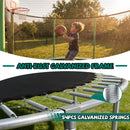 10FT Trampoline with Basketball Hoop and Ladder